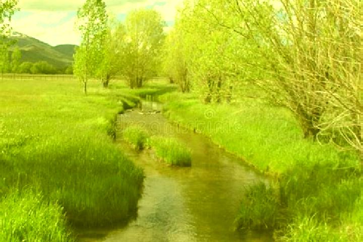 escort Peaceful Valley
