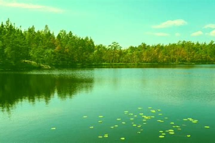 escort Peach Lake