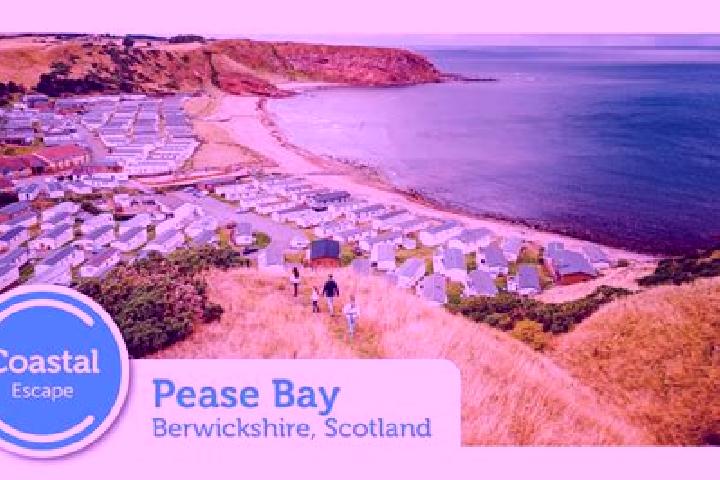 escort Pease Bay