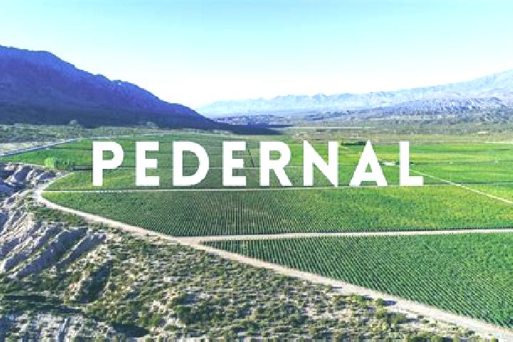 escort Pedernal