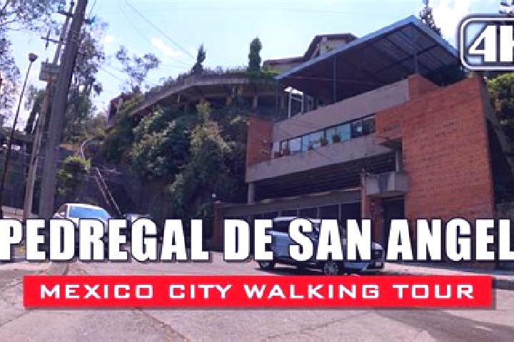 escort Pedregal de San Jose