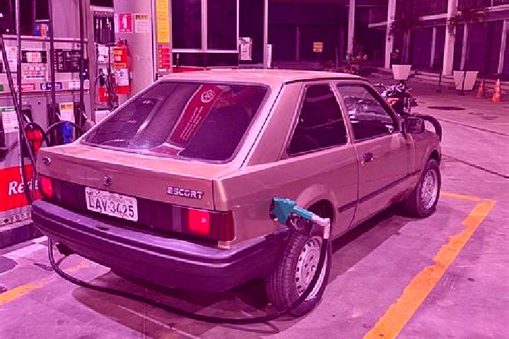 escort Pedro Teixeira