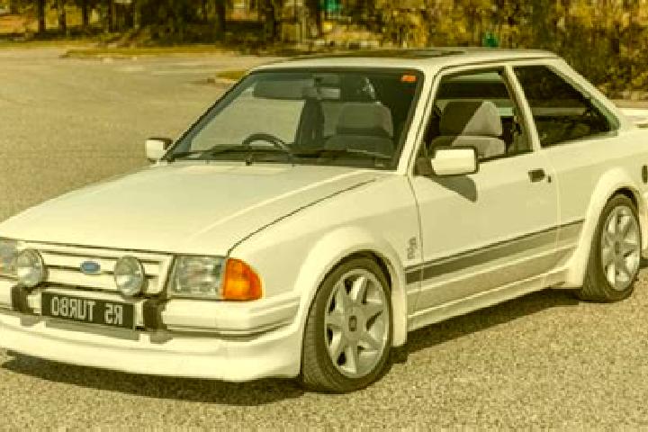 escort Pegognaga