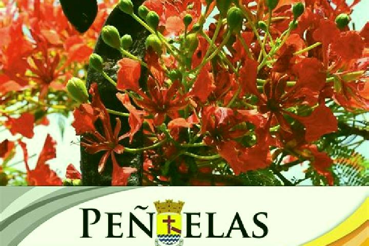 escort Penuelas (El Cienegal)