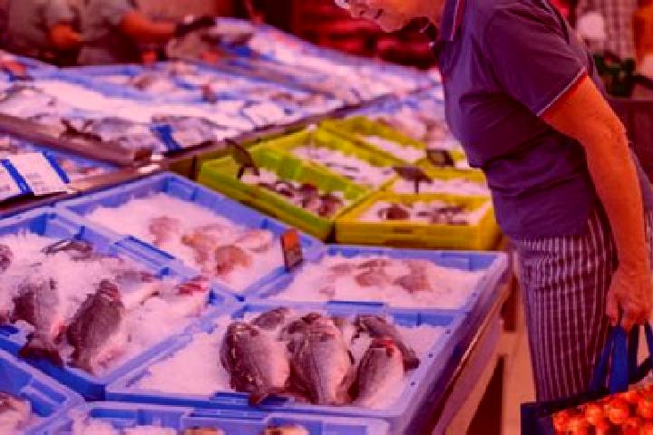 escort Pescaderia