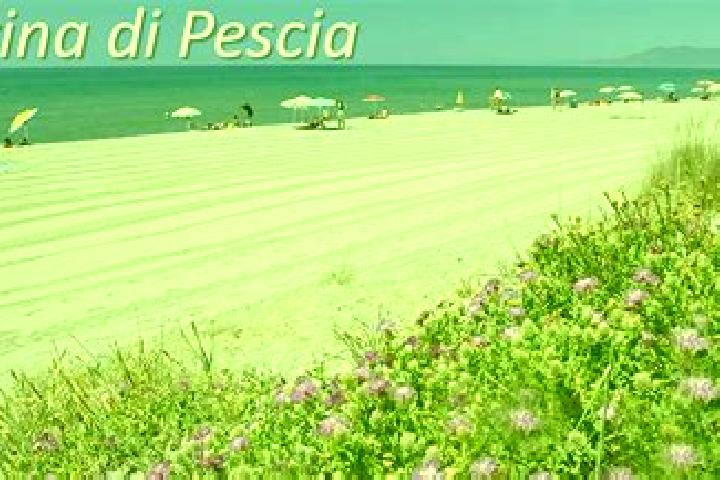 escort Pescia Romana
