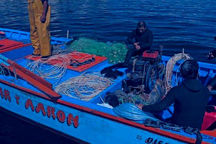 escort Pesqueria