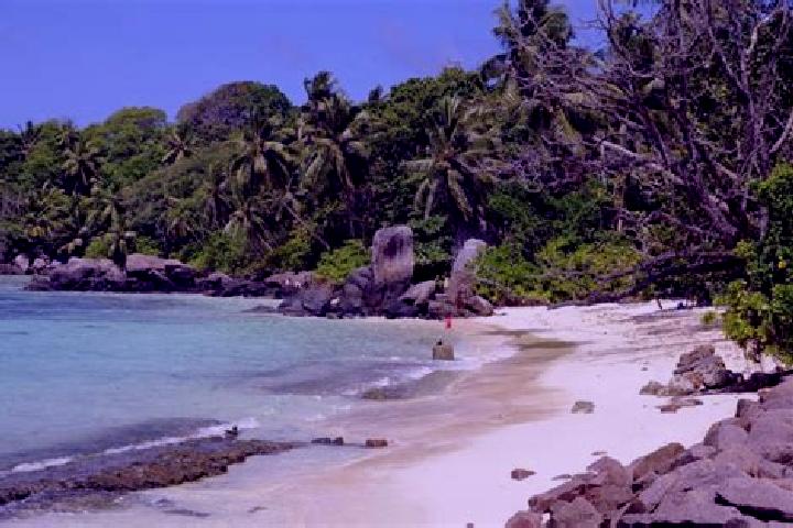 escort Petite Anse