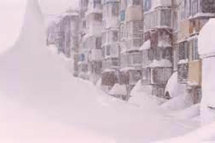 escort Petropavlovsk-Kamchatsky
