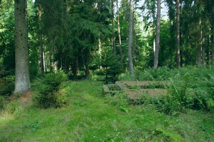 escort Pfaffenwald
