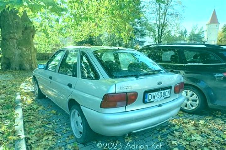 escort Pfiffelbach
