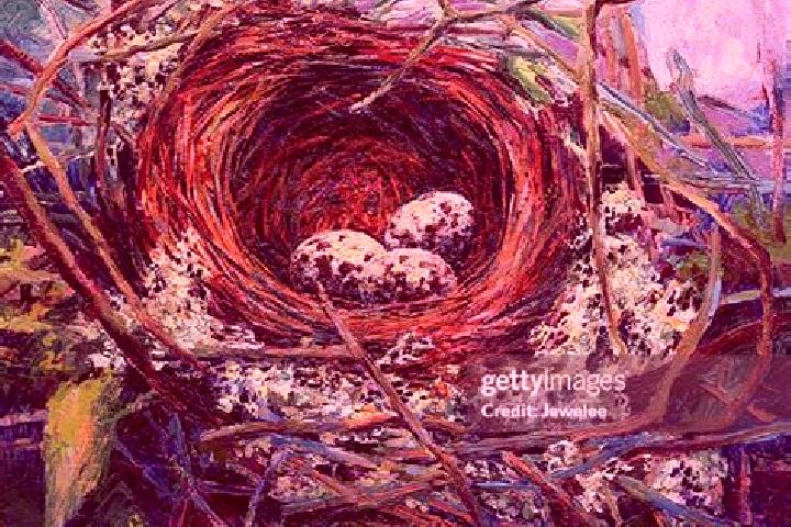 escort Pheasants Nest