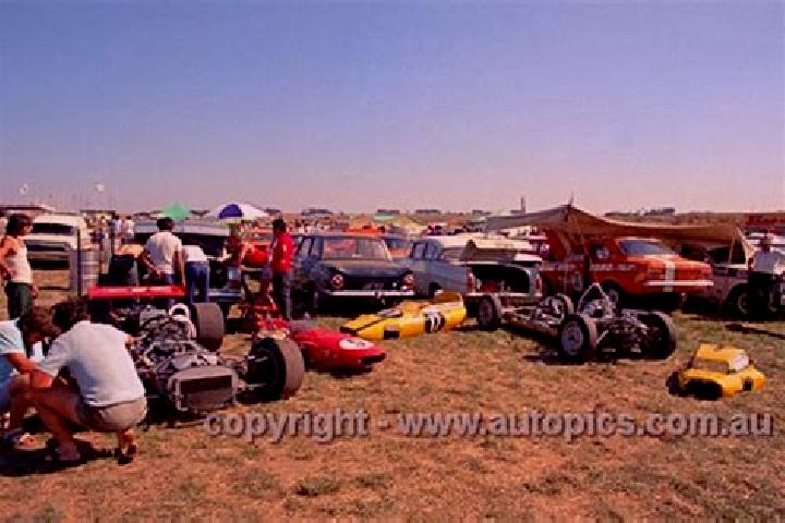 escort Phillip Island