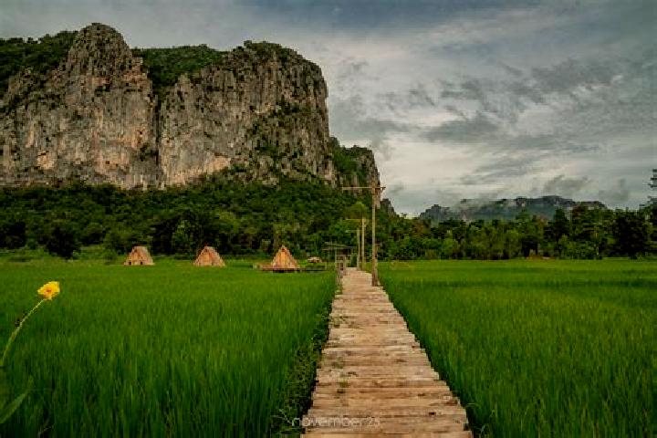 escort Phu Pha Man