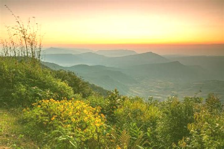 escort Phu Ruea