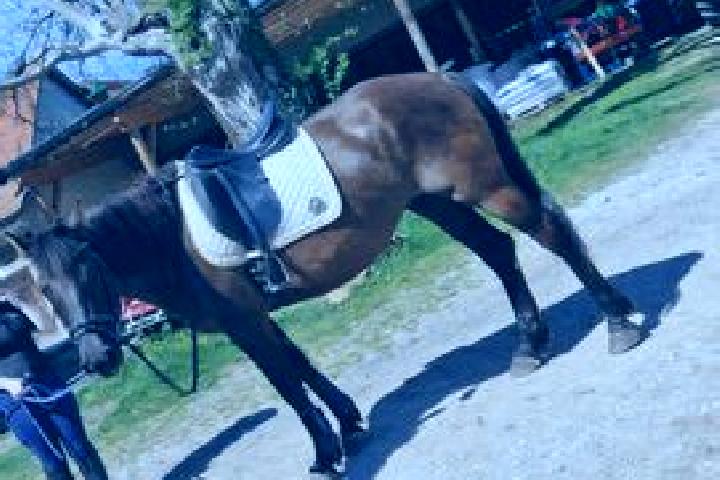 escort Pichling bei Koeflach