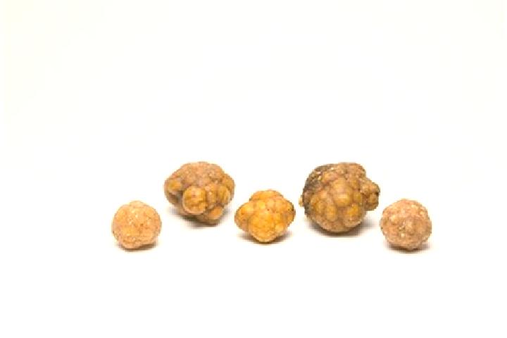 escort Piedras Gordas