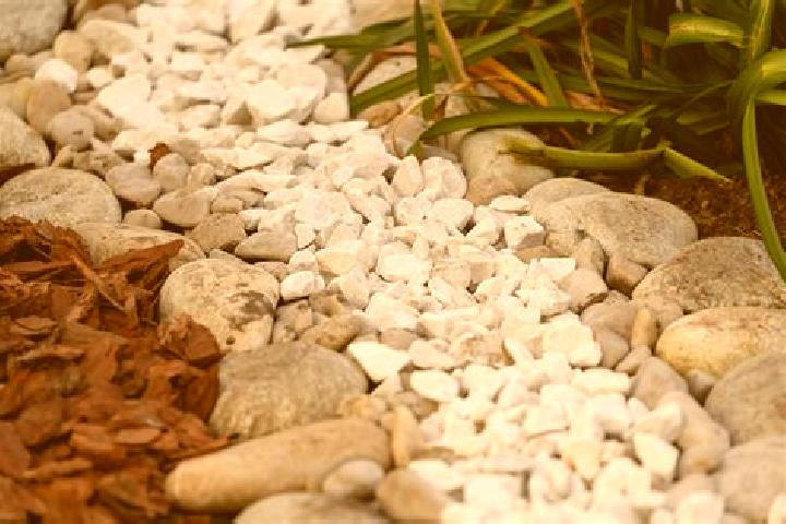 escort Piedras Grandes