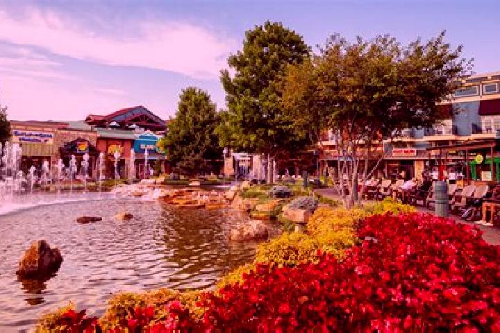 escort Pigeon Forge