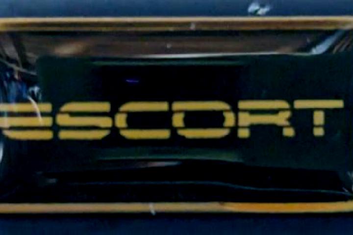 escort Pin