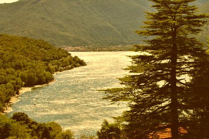 escort Pino sulla Sponda del Lago Maggiore