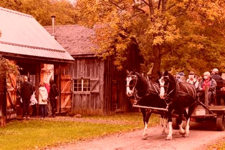 escort Pioneer Village