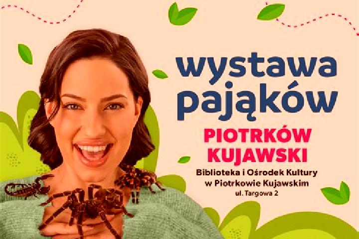 escort Piotrkow Kujawski