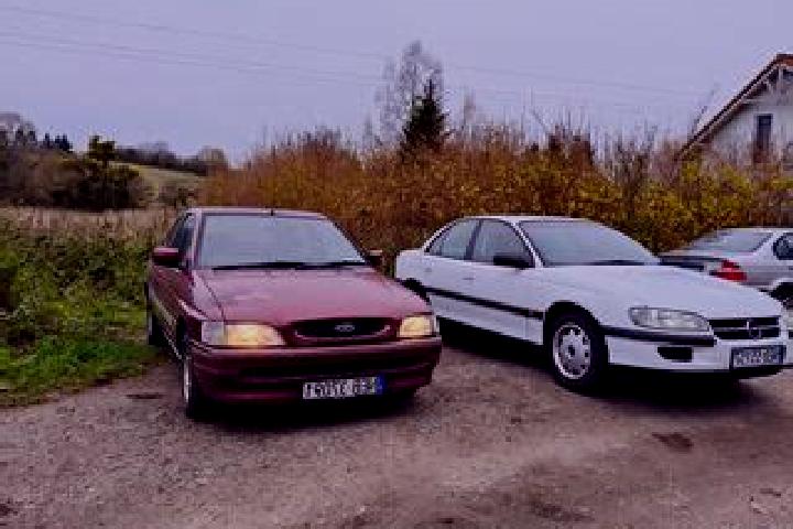 escort Piotrkow Trybunalski