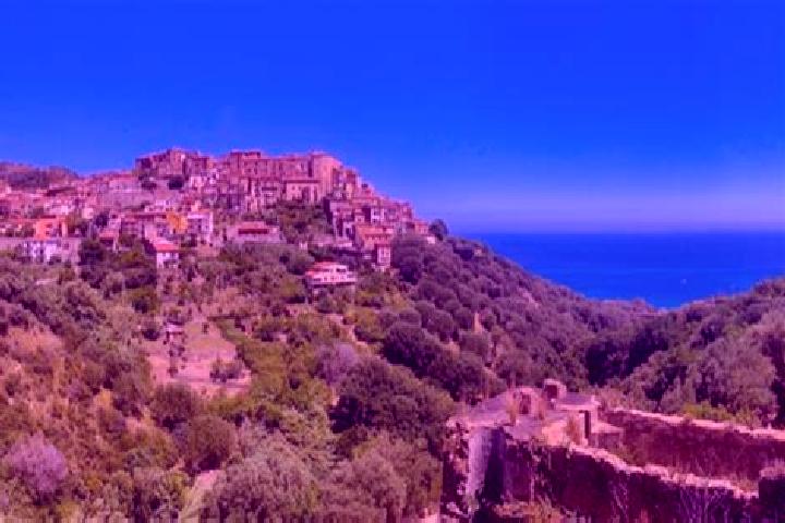 escort Pisciotta