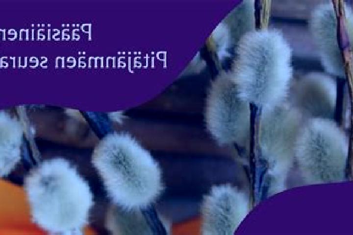 escort Pitaejaenmaeen yritysalue