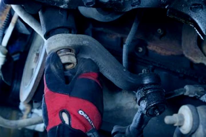 escort Pitman