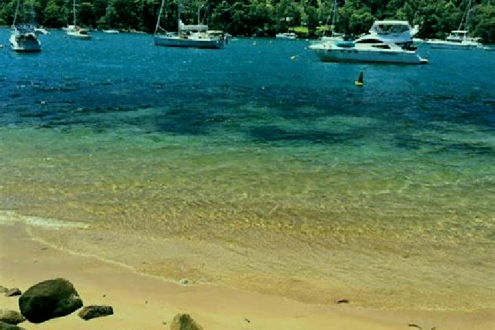 escort Pittwater