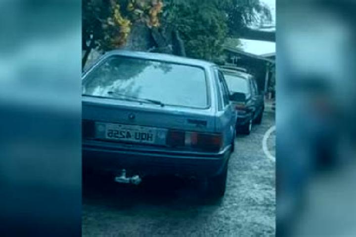 escort Placas