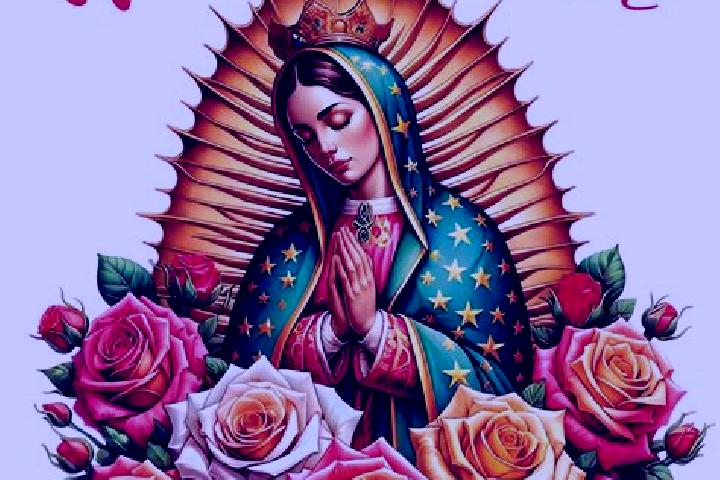 escort Plan de Guadalupe