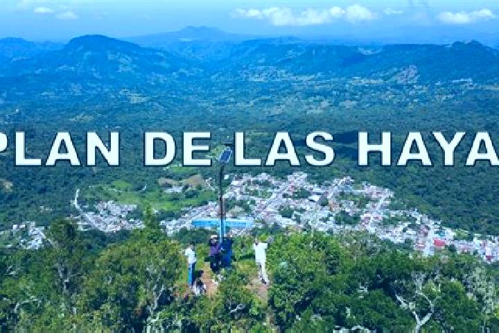 escort Plan de las Hayas