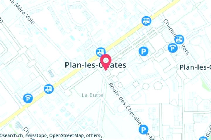 escort Plan-les-Ouates