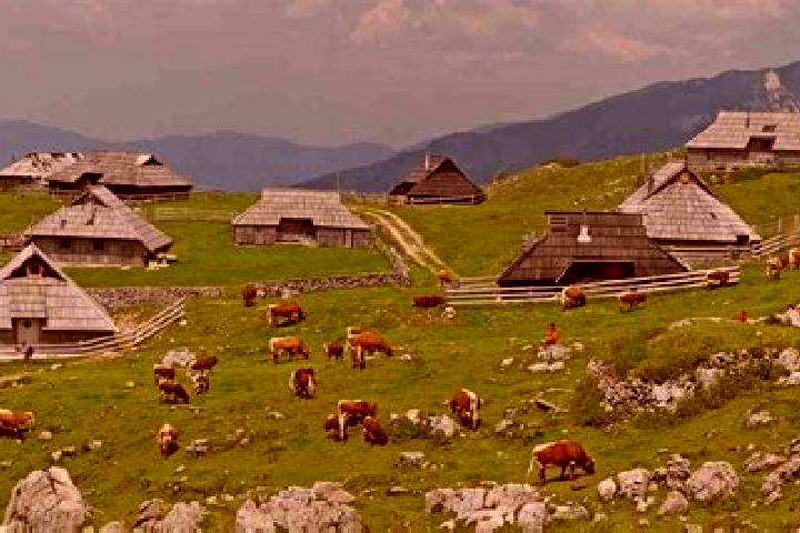escort Planina