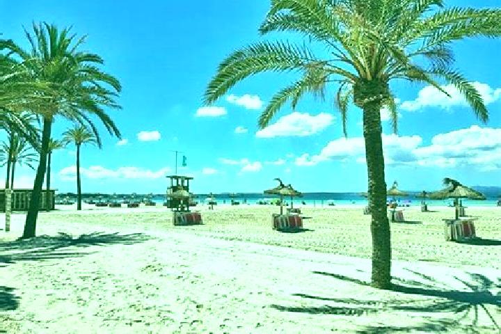 escort Platja d Alcudia