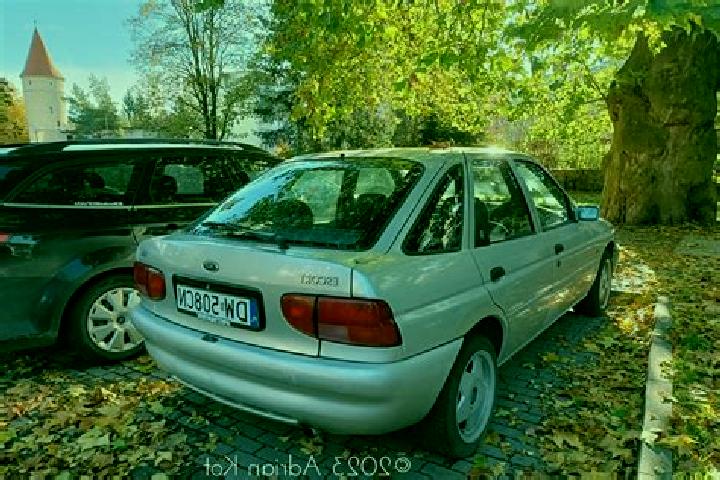 escort Platte
