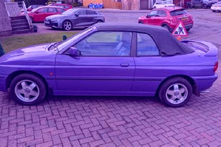 escort Plaue