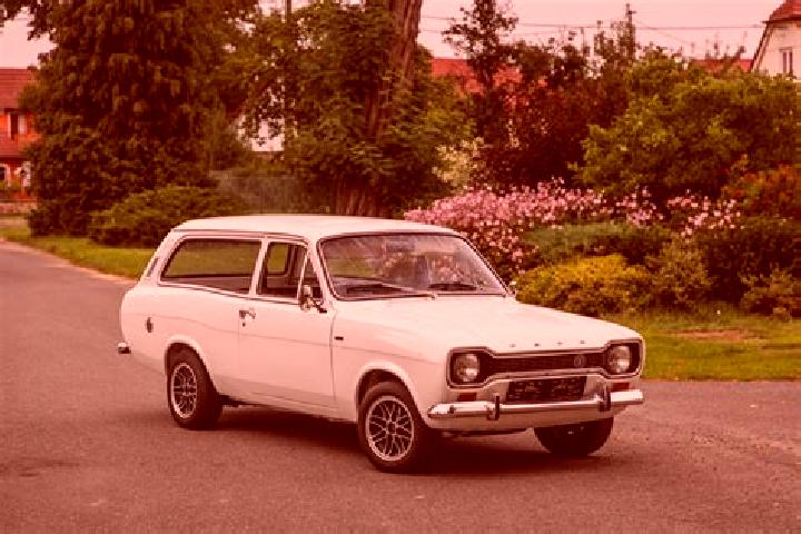 escort Plavinas