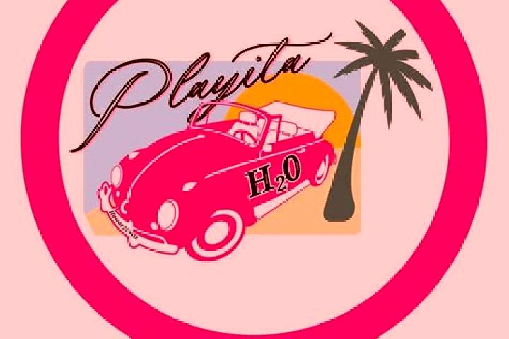 escort Playita