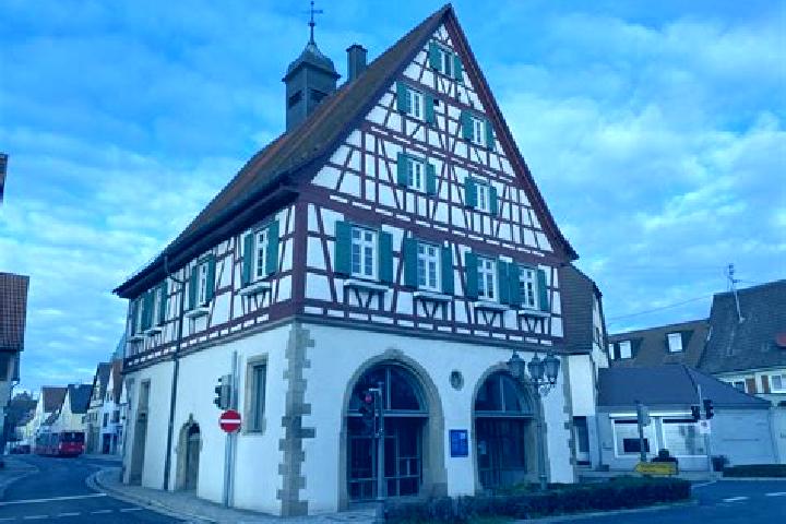 escort Pleidelsheim