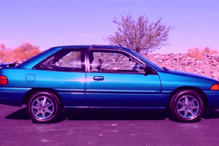 escort Plesa