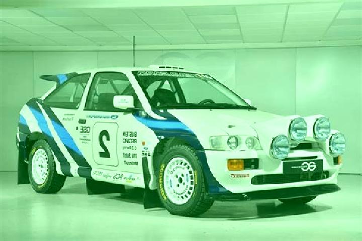 escort Plesi