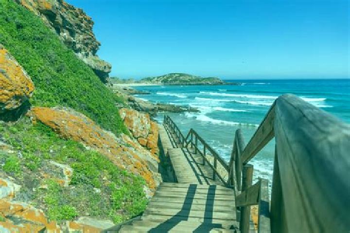 escort Plettenberg Bay