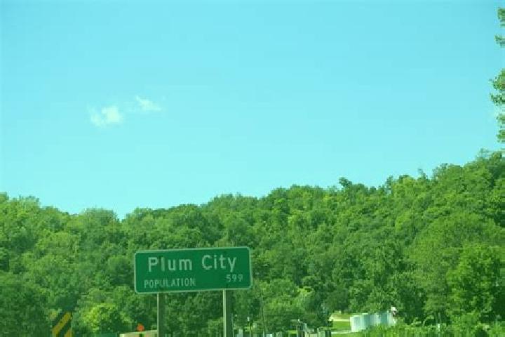 escort Plum City