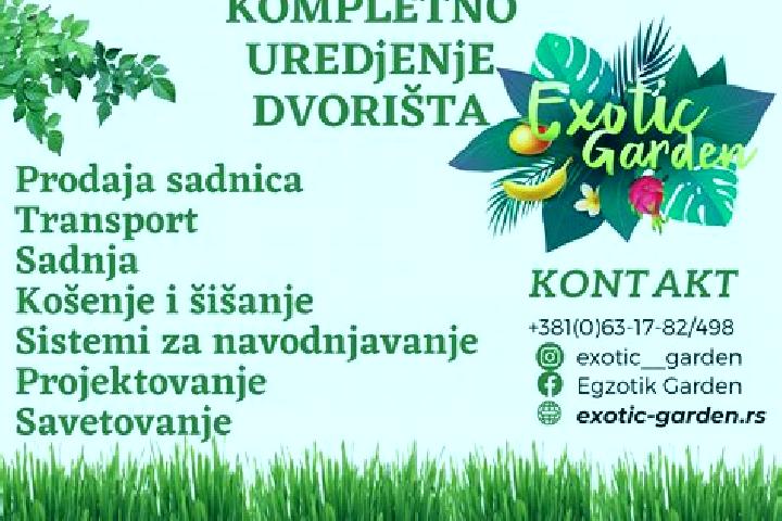 escort Pocerski Pricinovic
