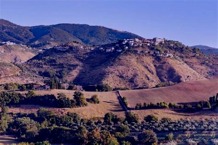 escort Poggio Catino