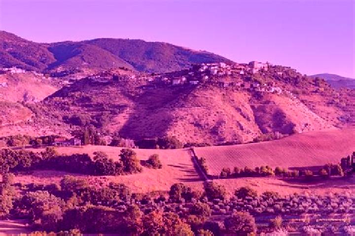 escort Poggio San Lorenzo